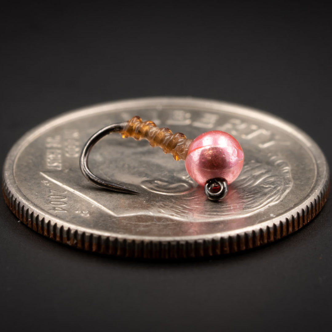 Bomb-Drop Midge Larva
