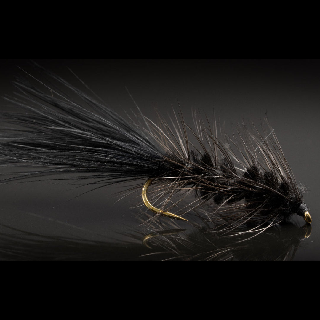 Clean Wooly Bugger Fly Fish Food