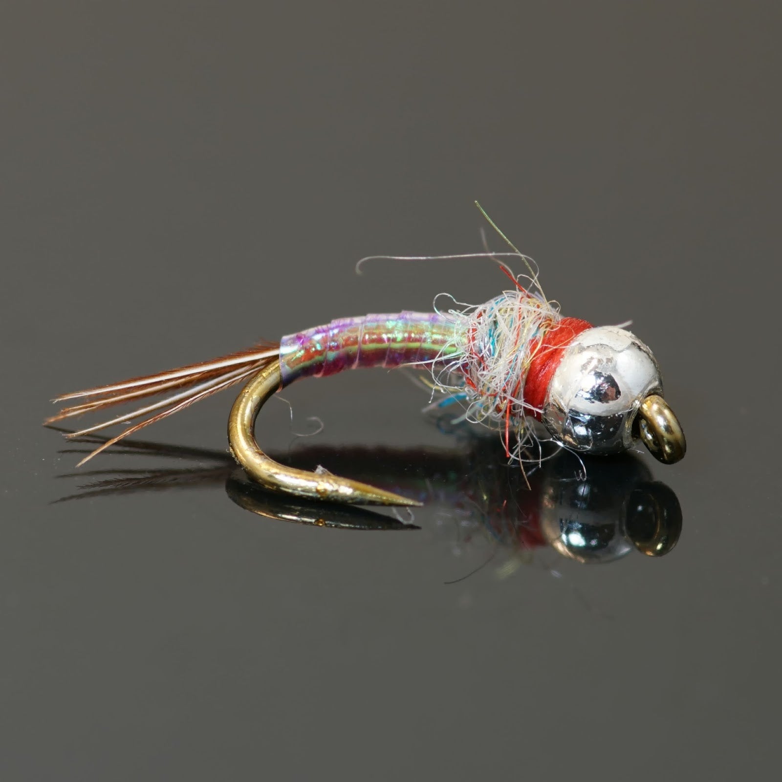 Rainbow deals warrior fly