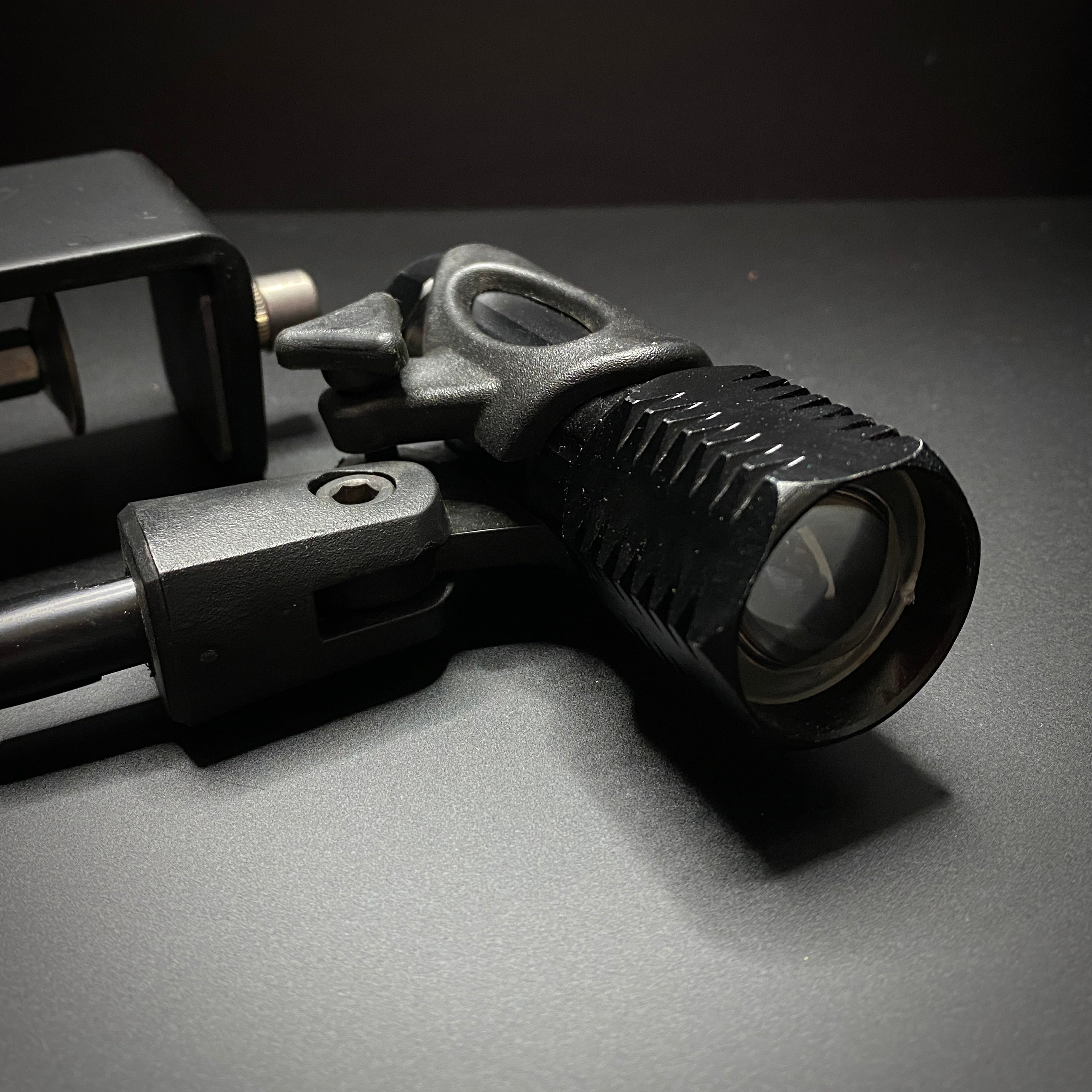 Lights & Magnifiers Fly Fish Food