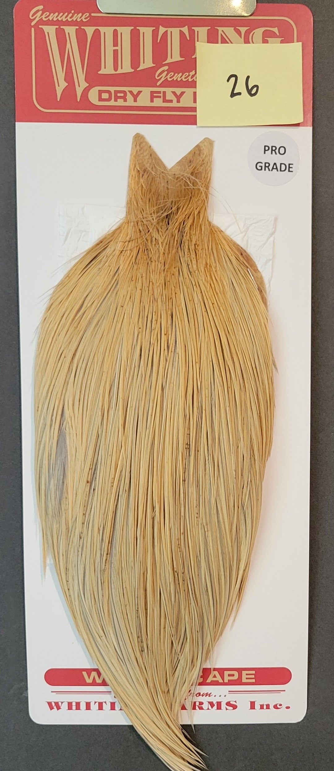 Flash Sale Hackle 26 - Whiting Cape Pro - Unique Variant (sizes 8-22)