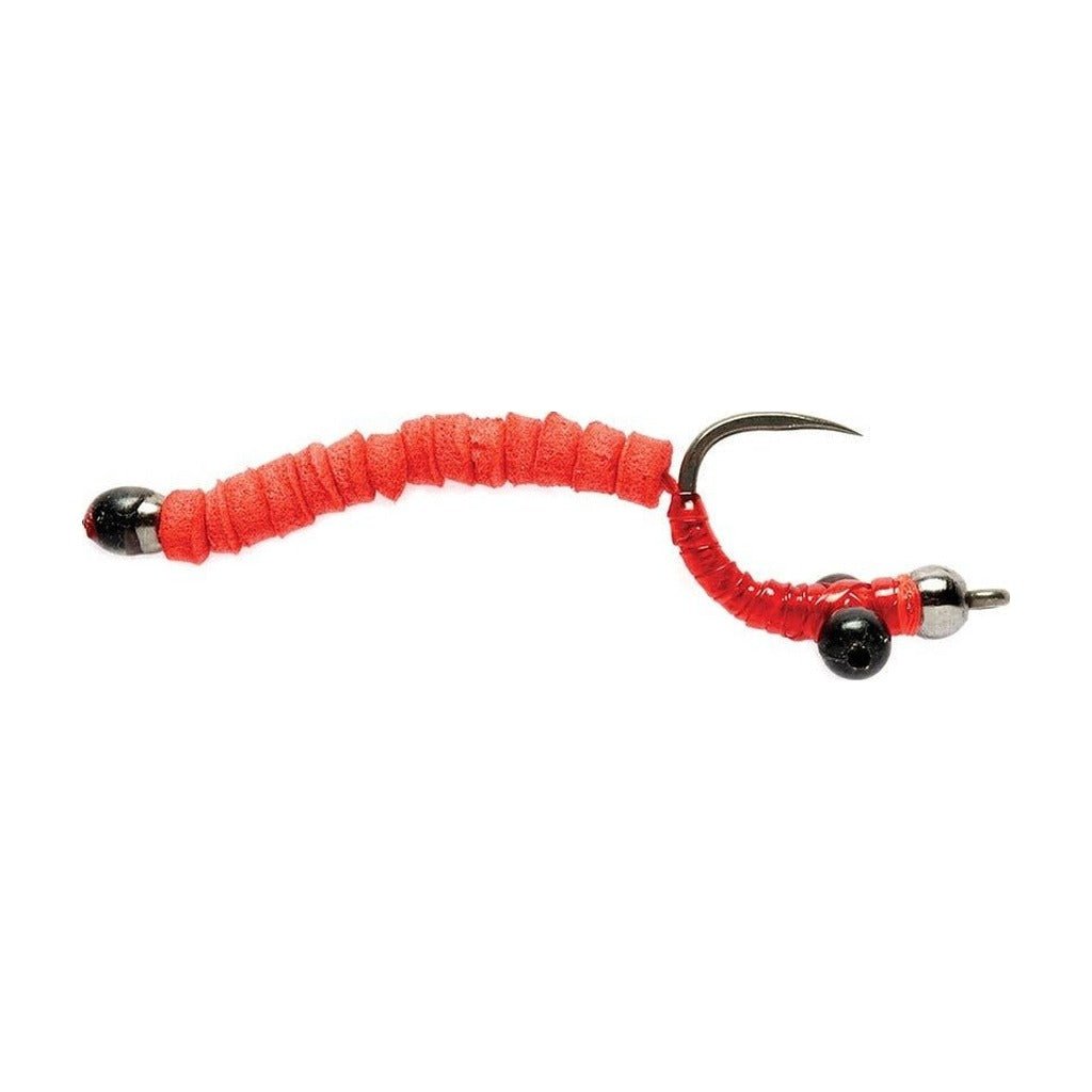 Carp Worm 8