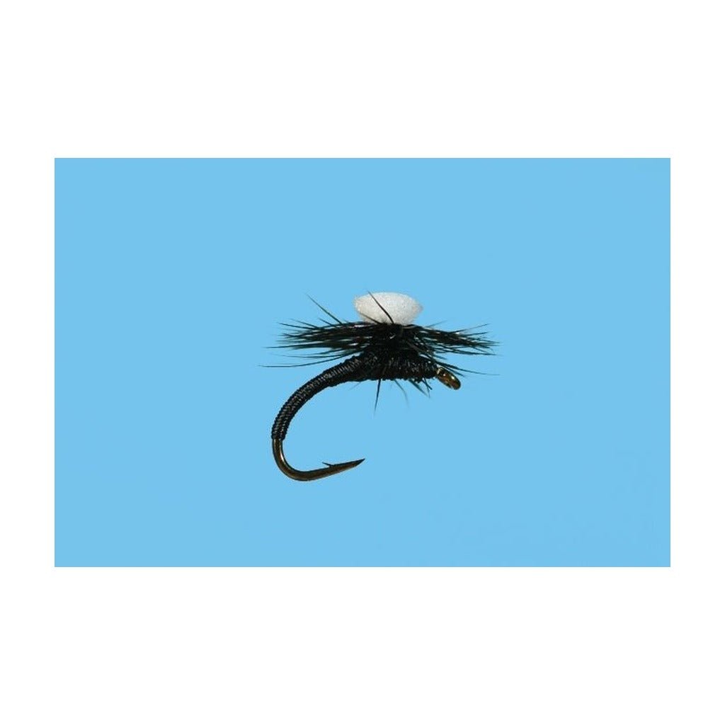 Brook's Sprout Midge