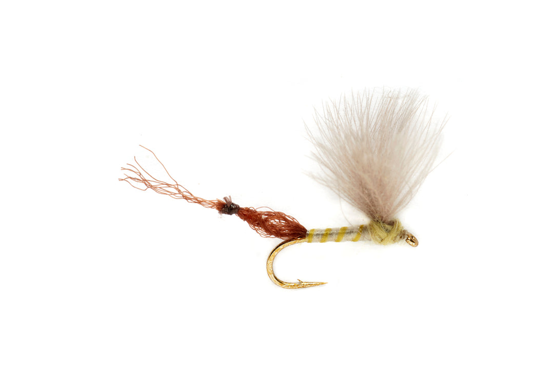 Burkus' Riffle Robber - Pale Olive