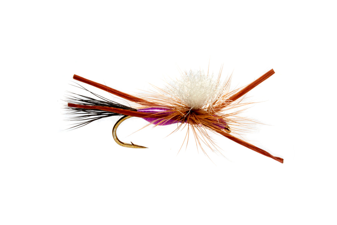 Burkus' Madison River Closer - Purple