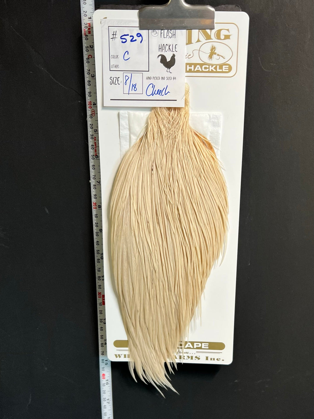 Flash Sale Hackle 529 - Heritage Cape - Cream (sizes 8-22)