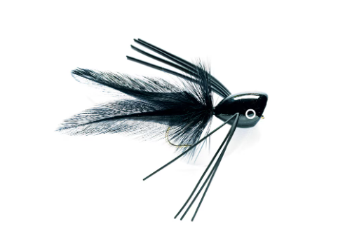 Bass Popper Black