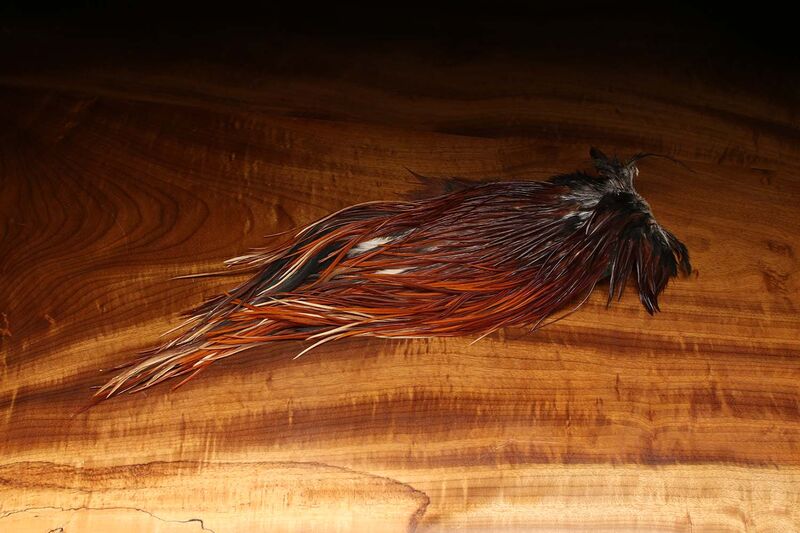 Dyed over White Saddle Patch - Brown