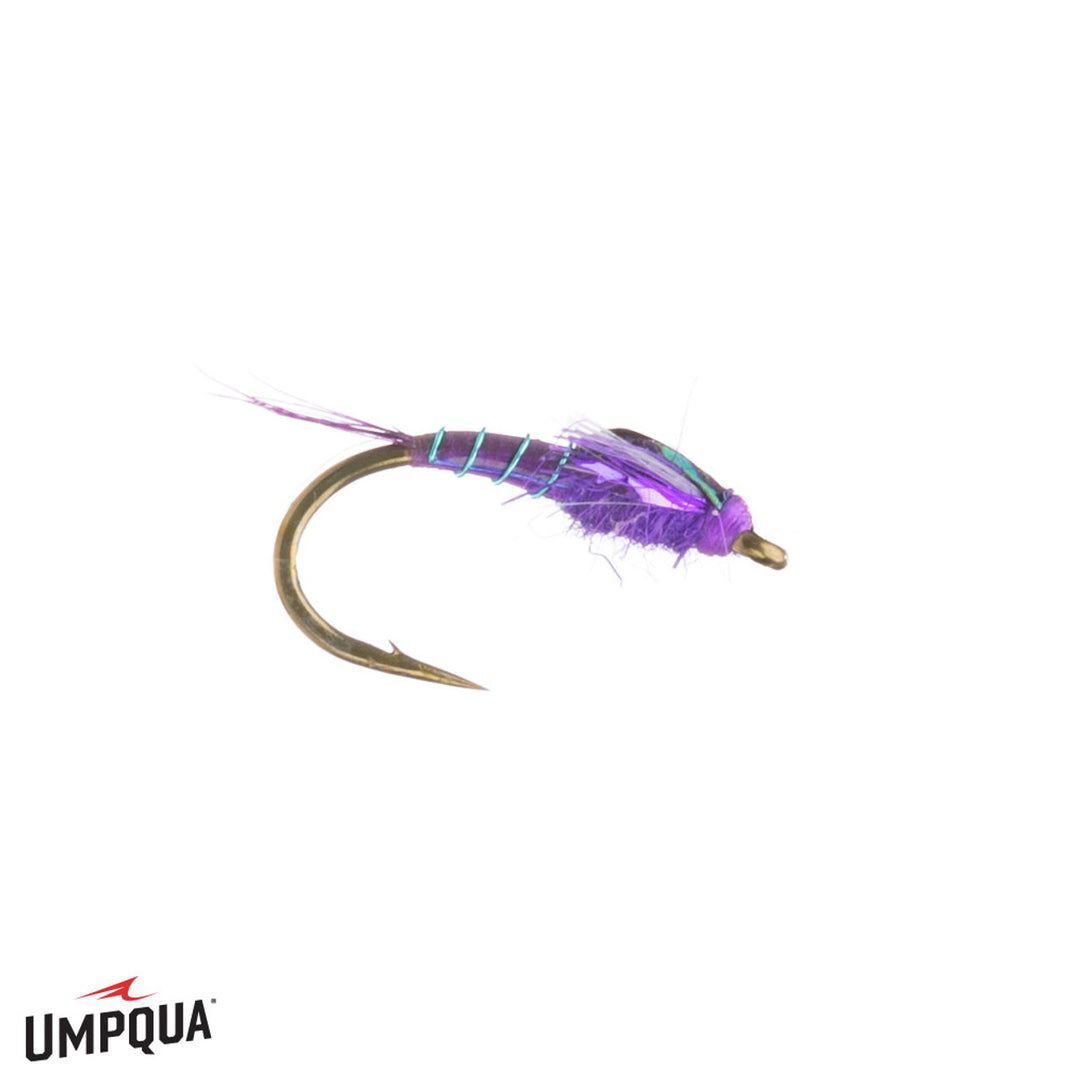 Darth Baetis - Purple