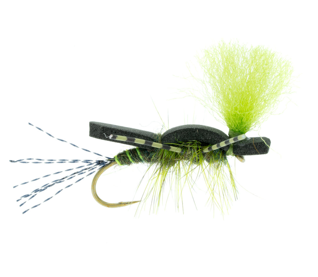 Fast Water Drake - Green Wing
