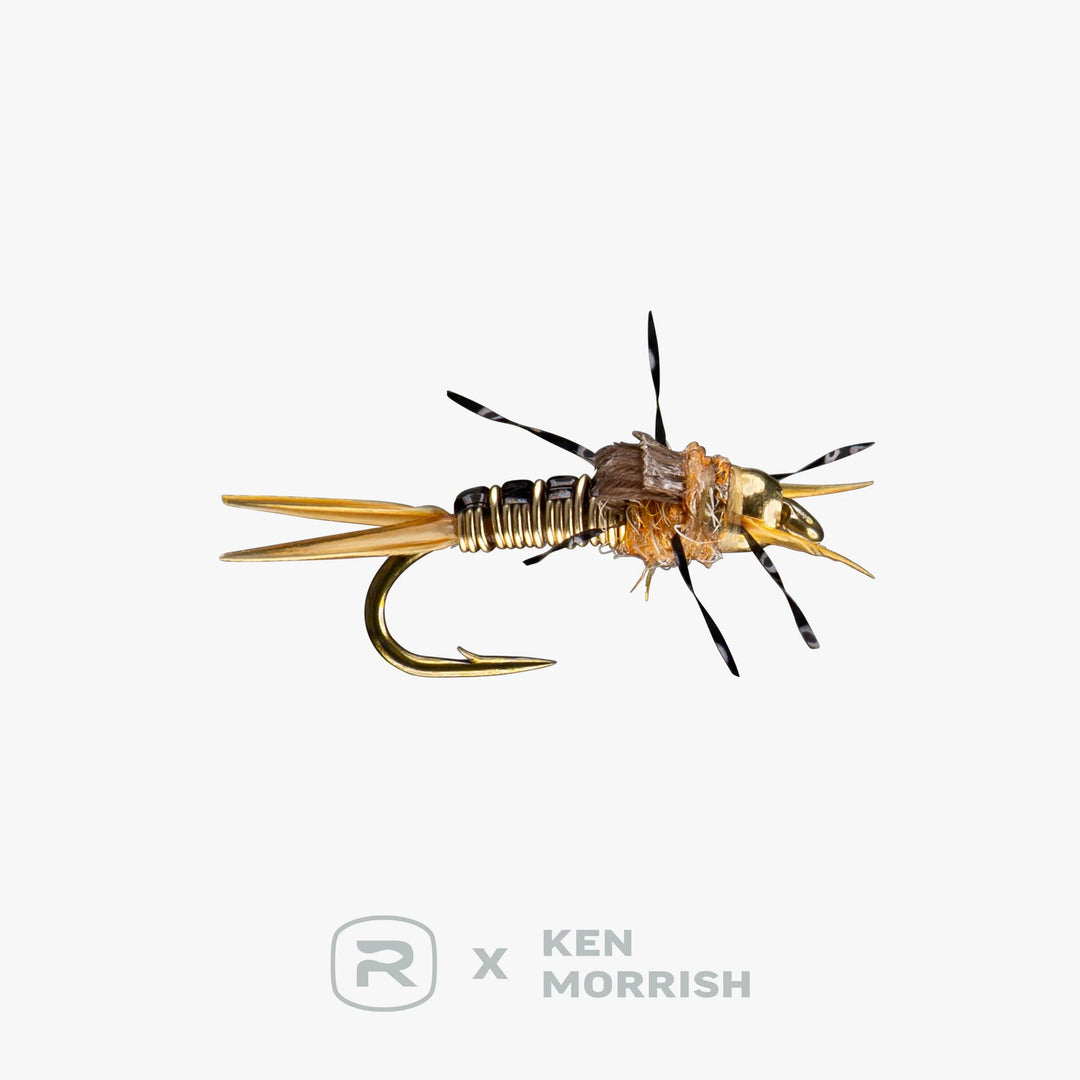 RIO's Morrish Iron Sally