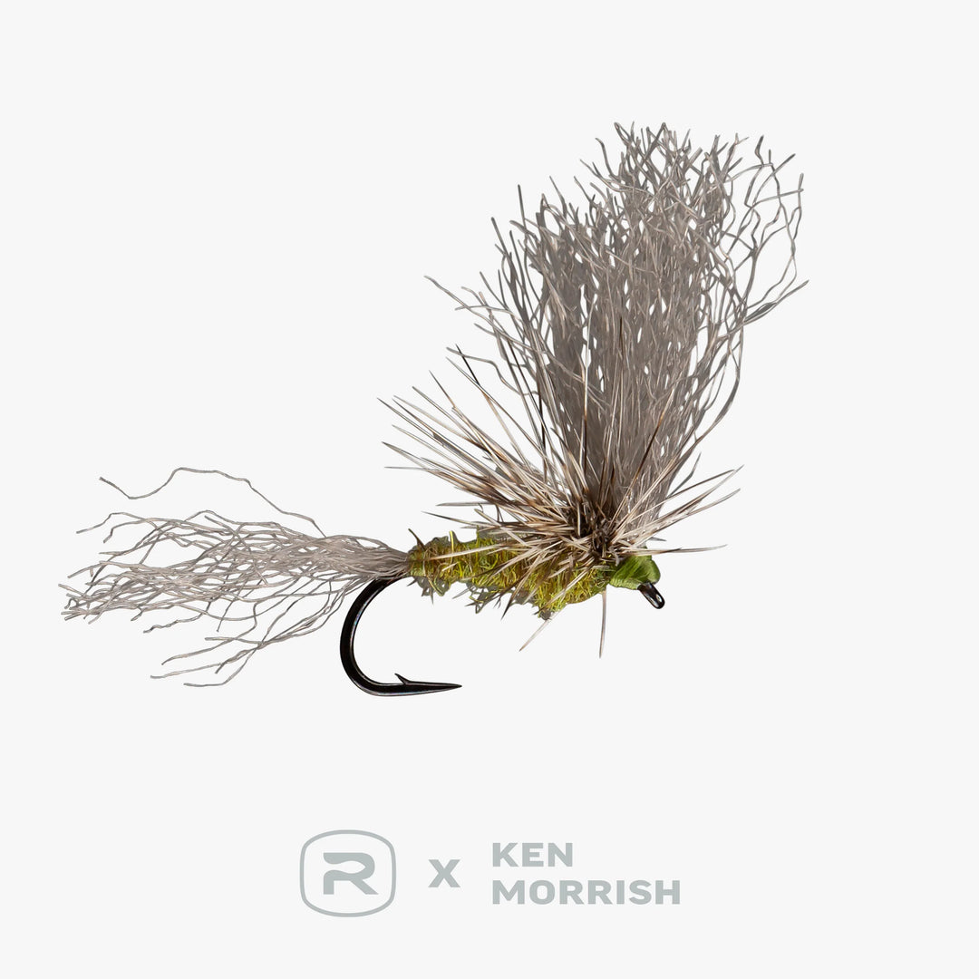 RIO's Morrish May Day - BWO