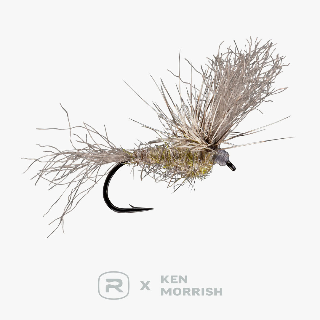 RIO's Morrish May Day - Callibaetis