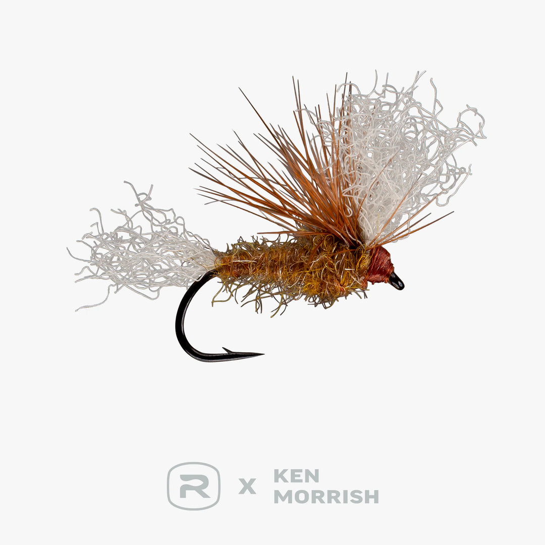 RIO's Morrish May Day - March Brown