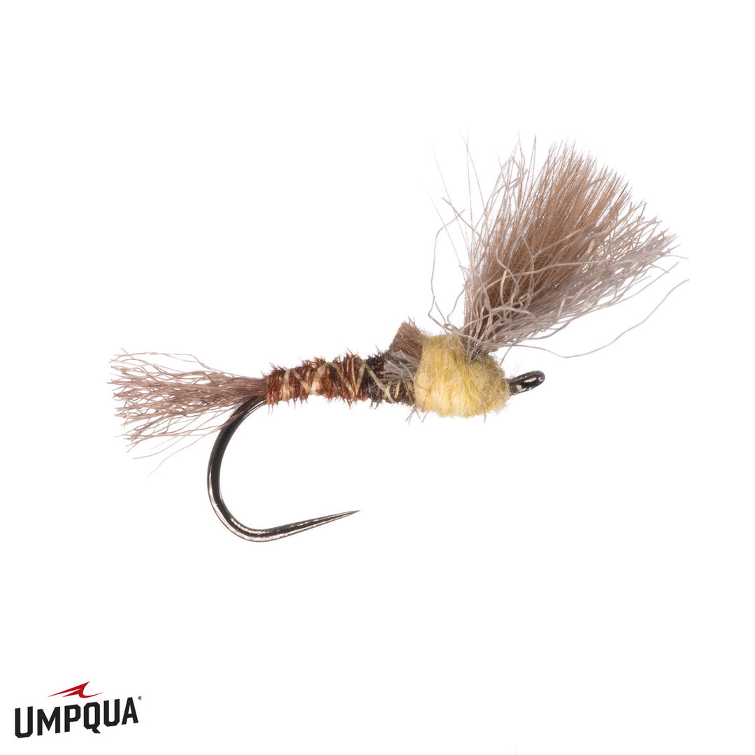 PT Emerger - PMD