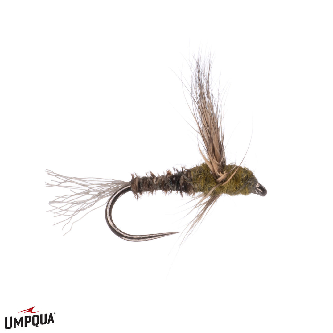 PT Sparkle Dun - Baetis