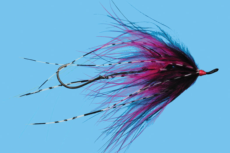 Hoh Bo Spey - Cherise/Black