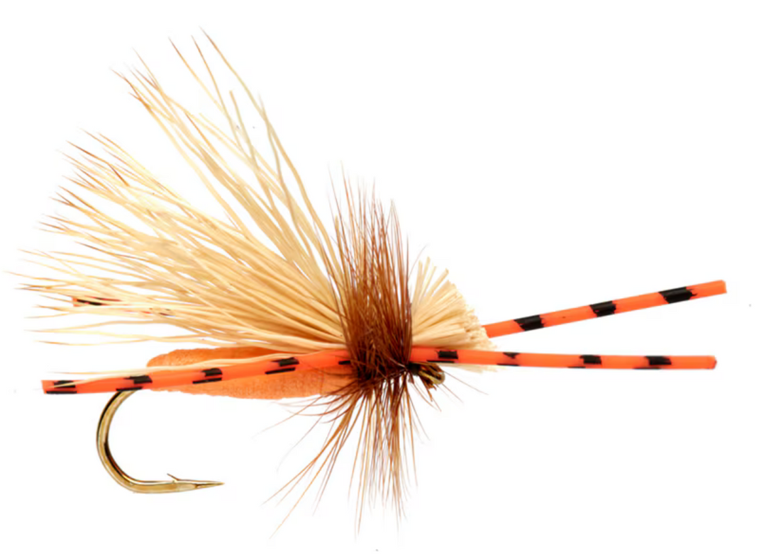 Rosseneau's Rocktober Caddis
