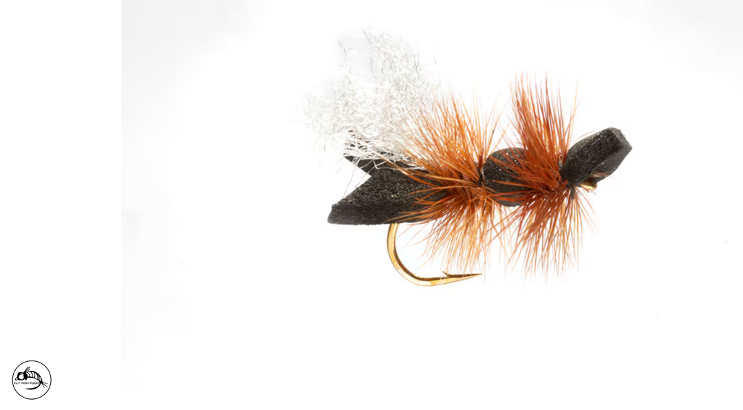 Galactic Ant - Black