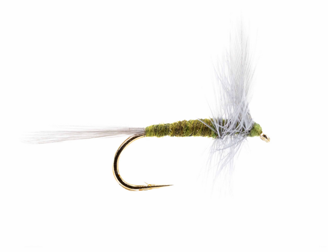 BWO