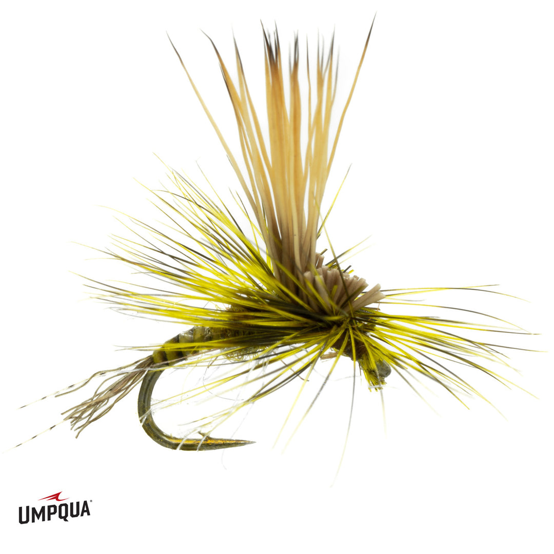 Stealth Link Mercer - BWO