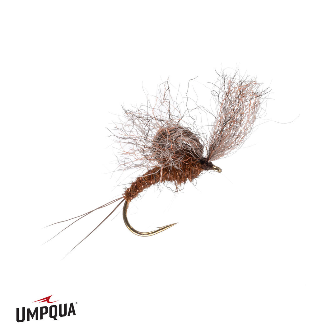 Timmy Emerger - Brown Drake