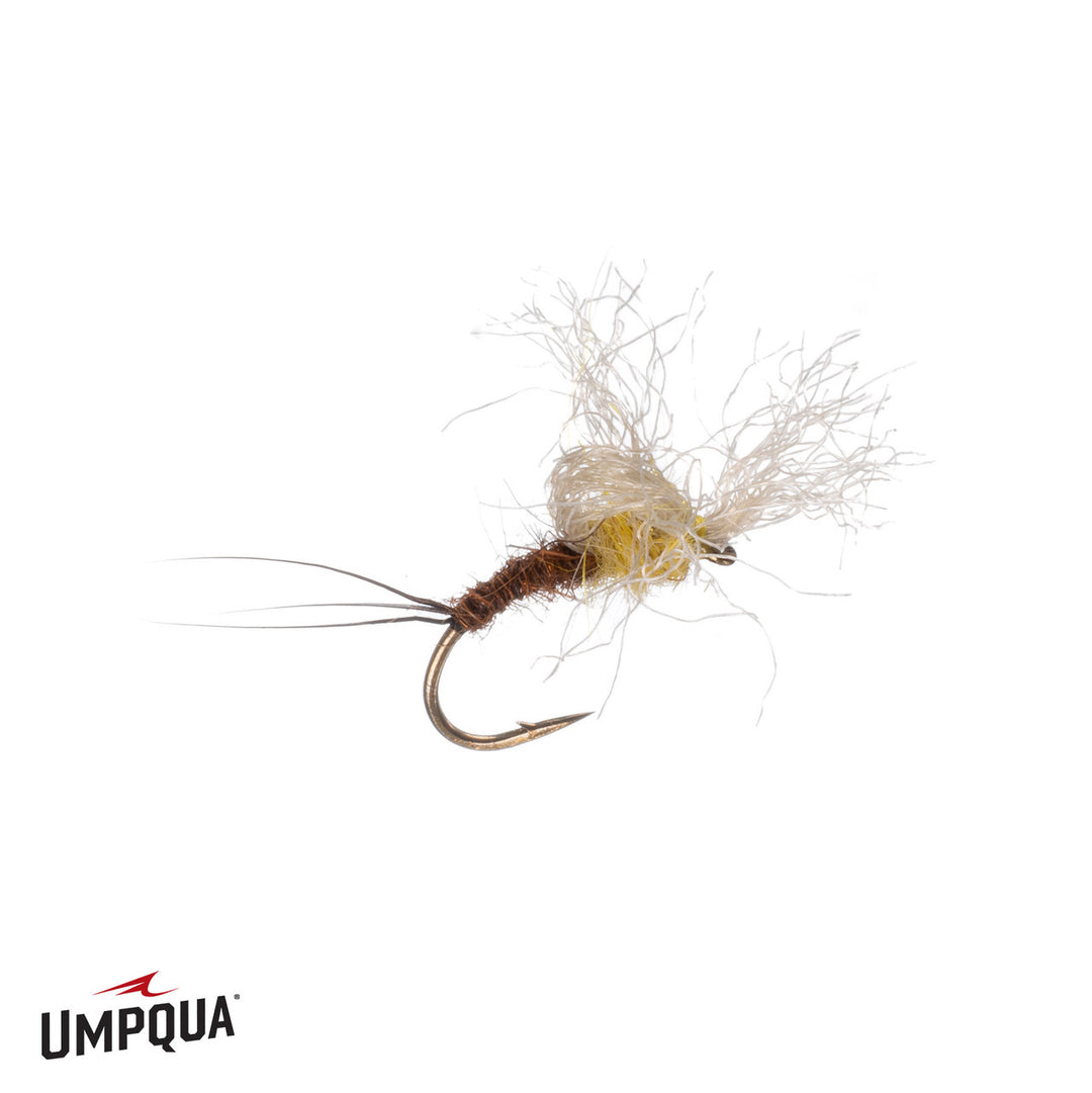Timmy Emerger - PMD