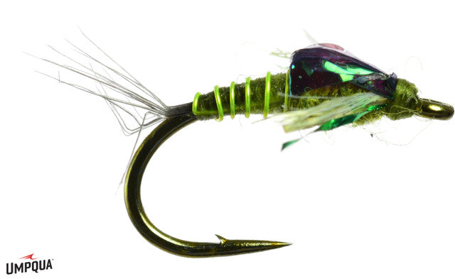 Darth Baetis - Olive