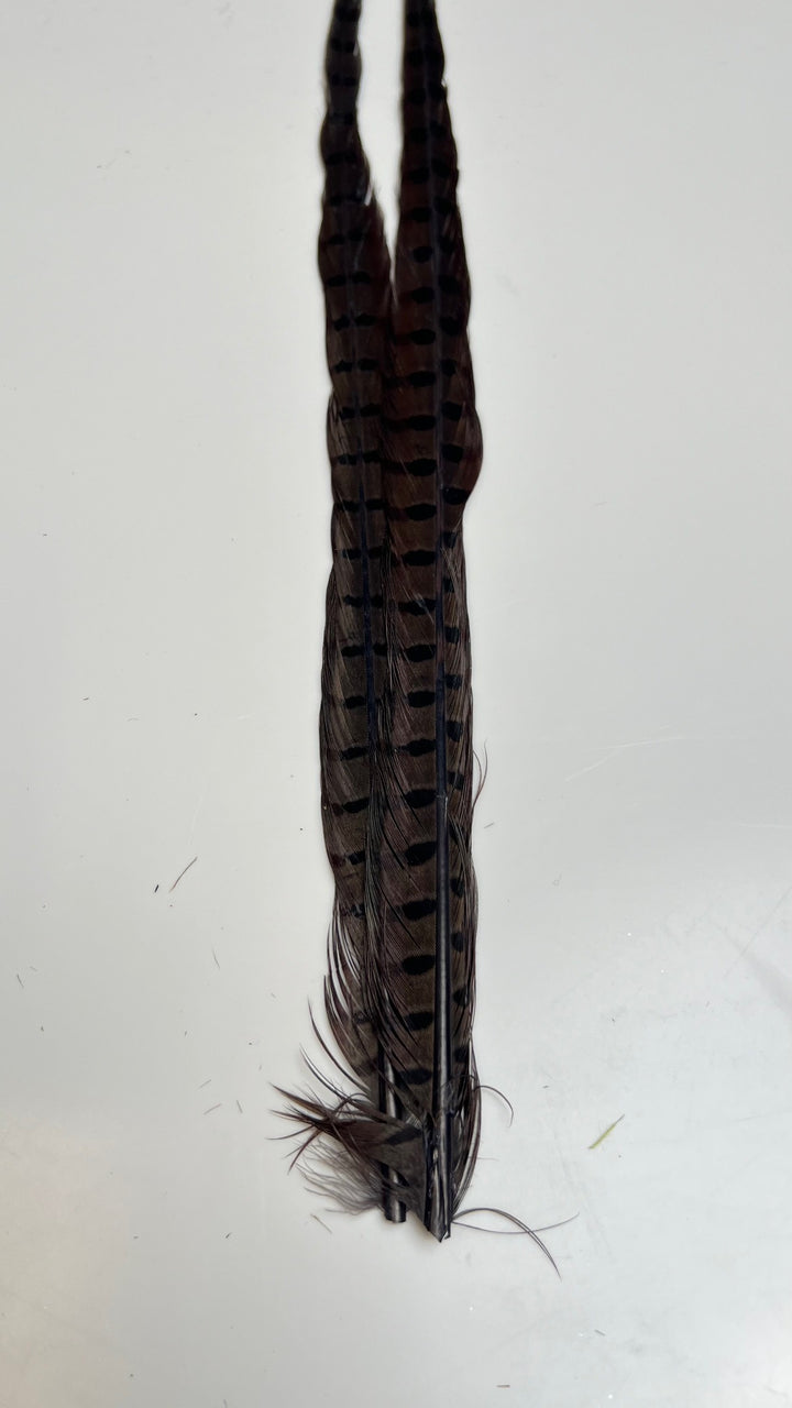 Pheasant Tail Center Pairs