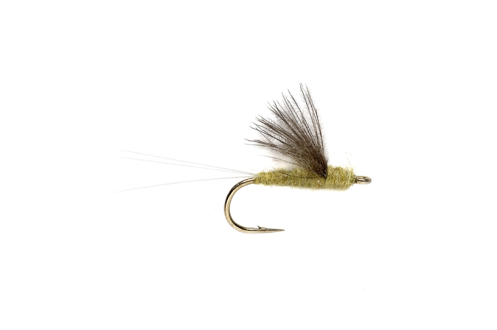 RS2 PALE MORNING DUN YELLOW