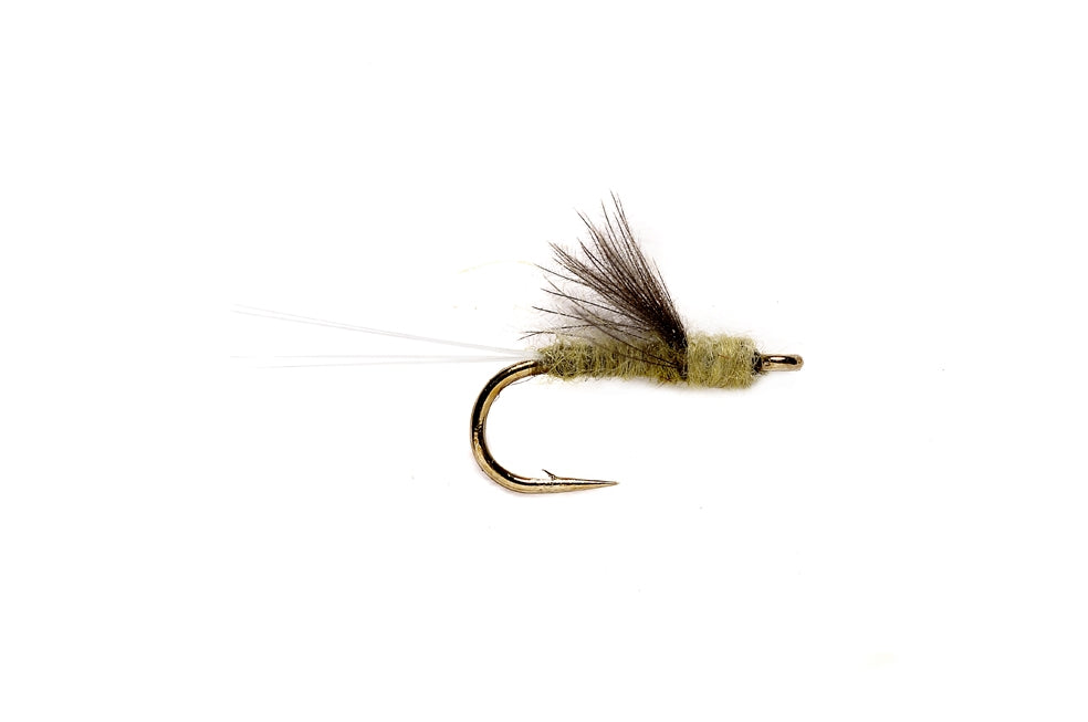 RS2 OLIVE