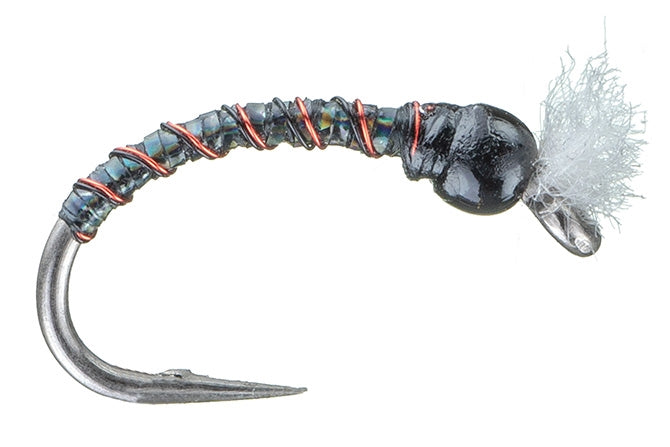 Chan's Black Holographic Chironomid Pupa