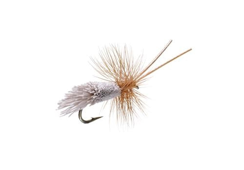 Goddard Caddis
