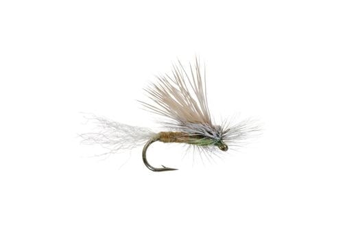E/C Caddis - Olive