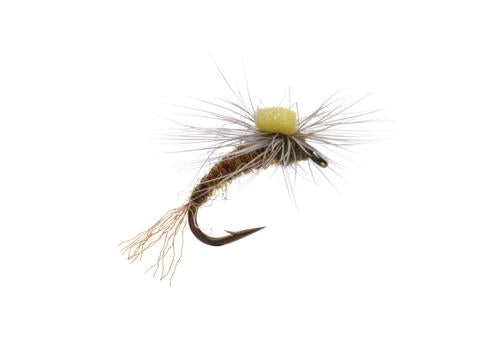 Para Emerger BWO