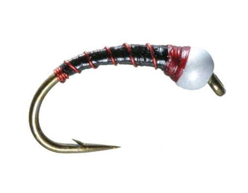 Chiron Pupa Black & Red