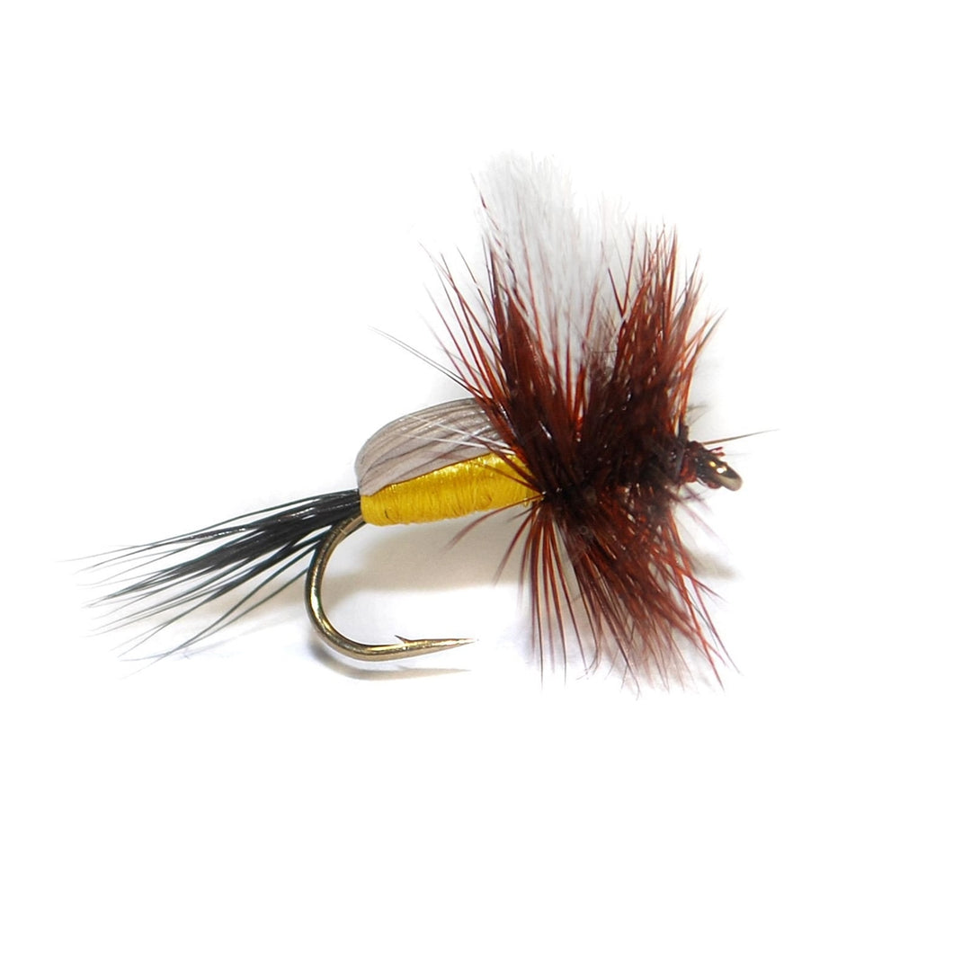 Royal Yellow Humpy