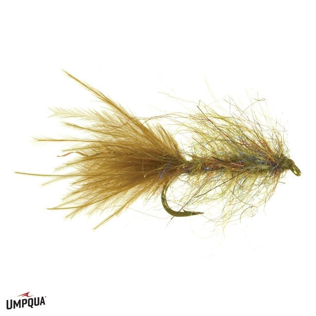Goat Leech - Canadian Olive