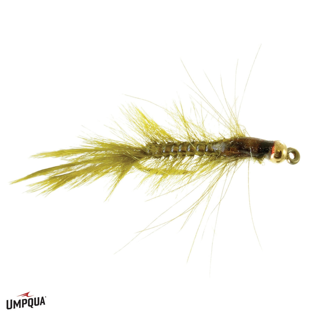 CDC Callibaetis Nymph - Olive