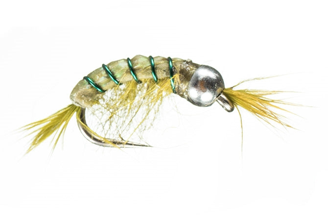 BH Scud - Olive