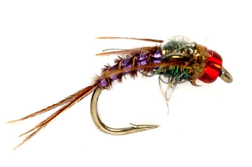 Phlamin Pheasant Tail - Purple