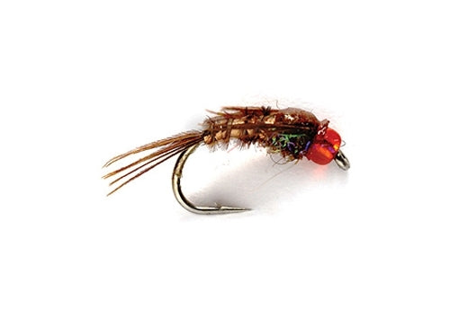 Phlamin Pheasant Tail - Orange