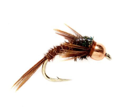 Quasimodo Pheasant Tail