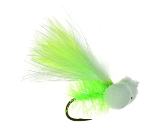 Sexton's Booby - Chartreuse & White