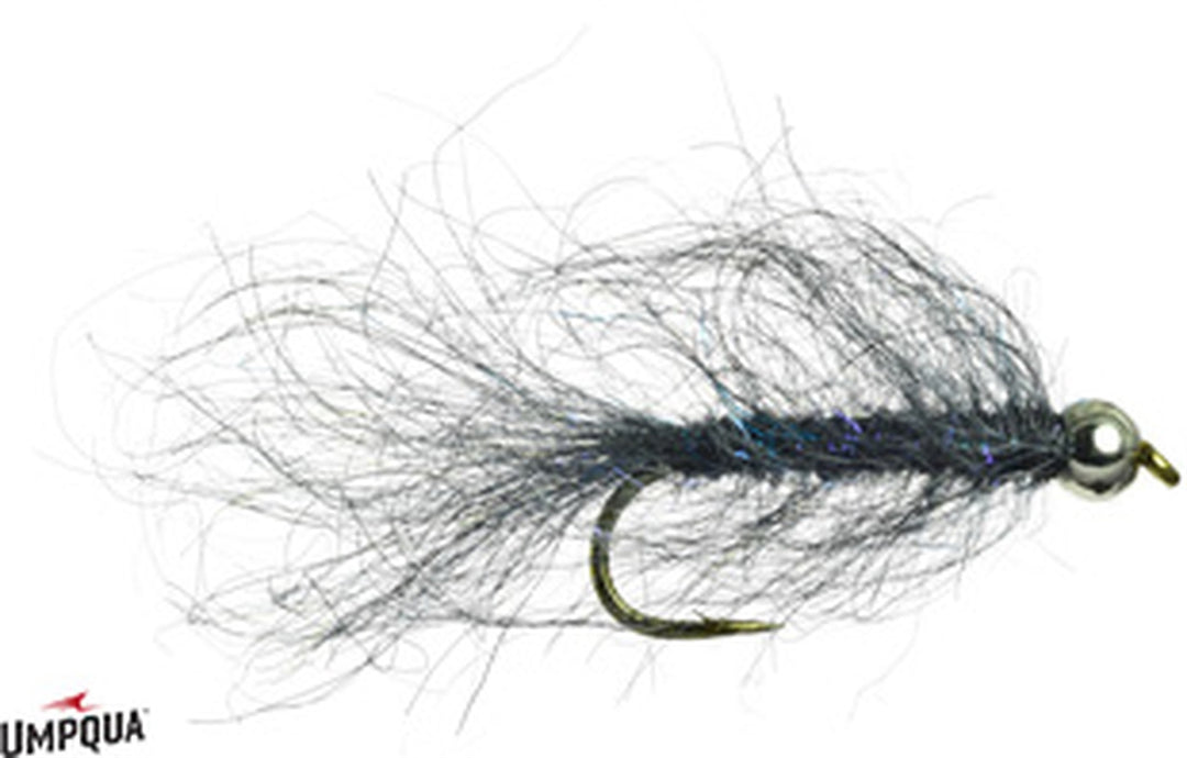 Simi Seal Leech - Black & Blue