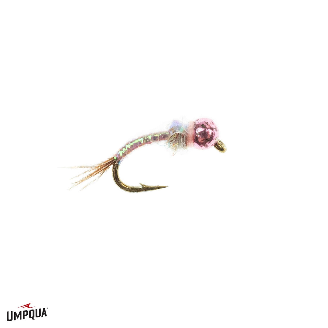 Tungsten Rainbow Warrior - Pink