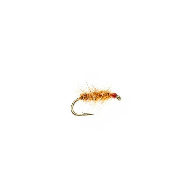 Tailwater Sowbug - Orange