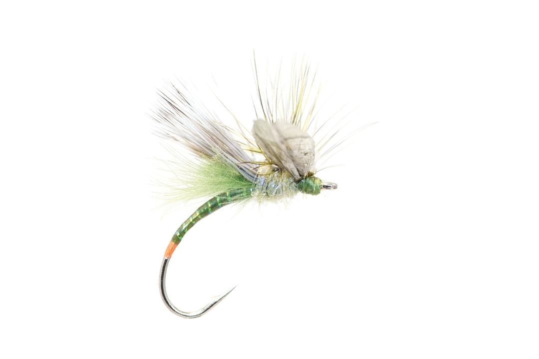 Green Drake Fripple