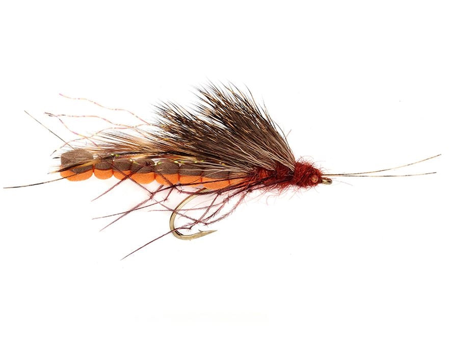 McPhail Adult Salmon Fly