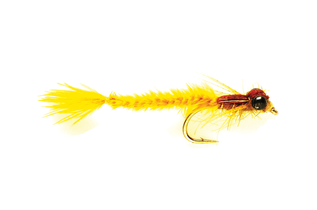 Living Damsel - Gold Olive